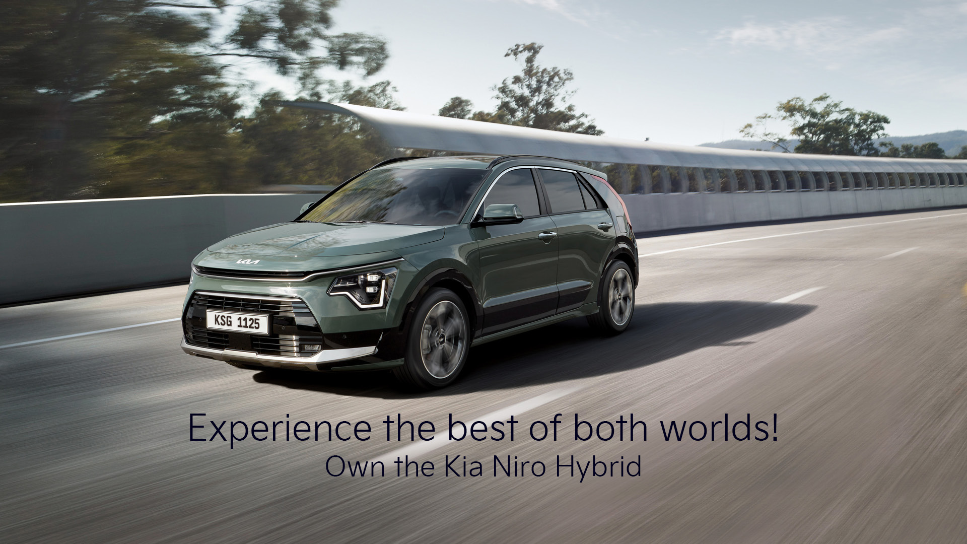 all new Niro